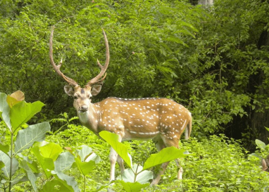 Fakim Wildlife Sanctuary